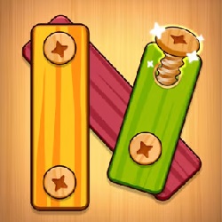 Wood Nuts Bolts Puzzle